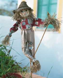 scarecrow straw man